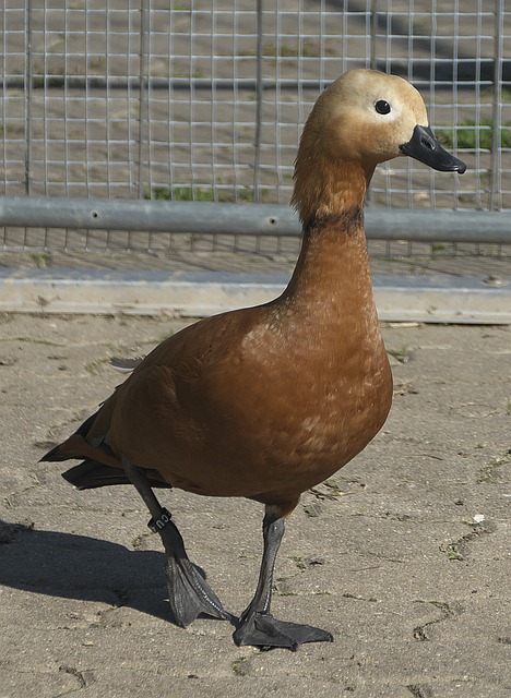 彩体验